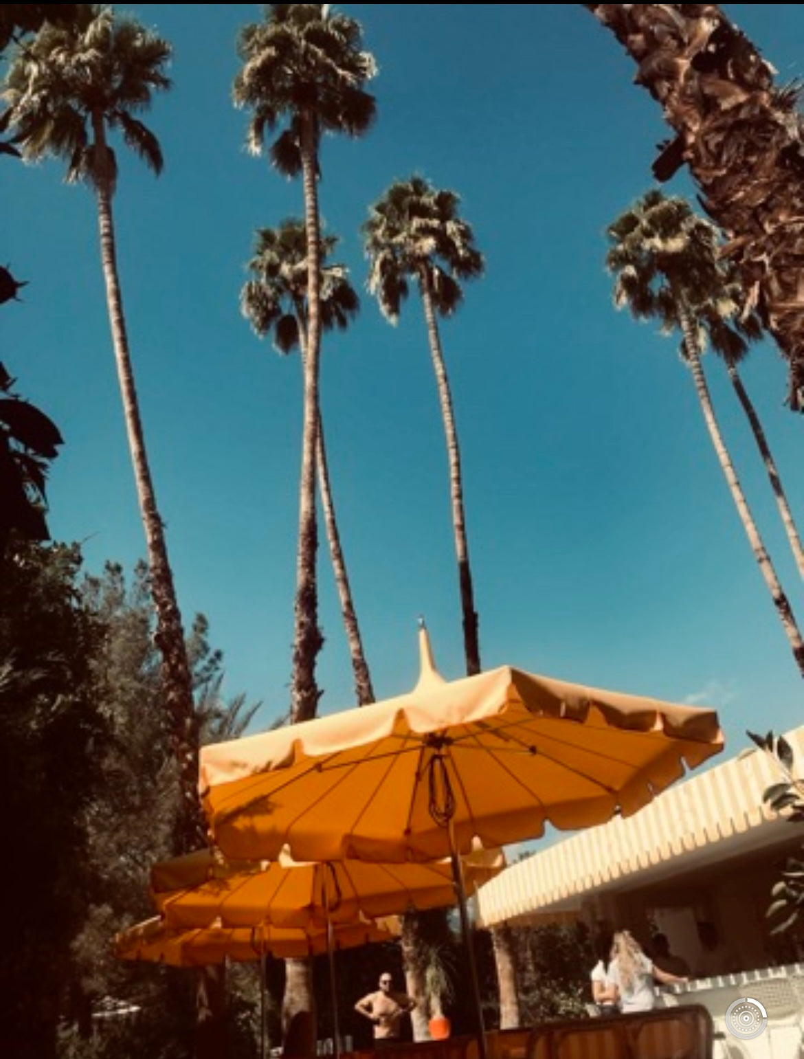 TRAVEL - PALM SPRINGS SERIES - Sipping Lemonade at the Parker - SOLD